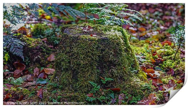Tree Stump with Green Hair! Print by GJS Photography Artist