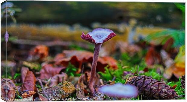 Amethyst Deceiver Canvas Print by GJS Photography Artist
