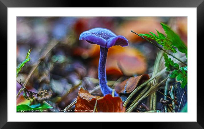 Amethyst Deceiver  Framed Mounted Print by GJS Photography Artist
