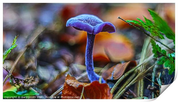 Amethyst Deceiver  Print by GJS Photography Artist