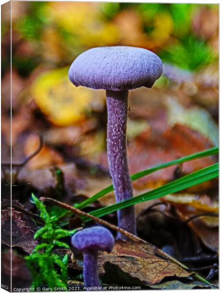 Amethyst Deceiver  Canvas Print by GJS Photography Artist