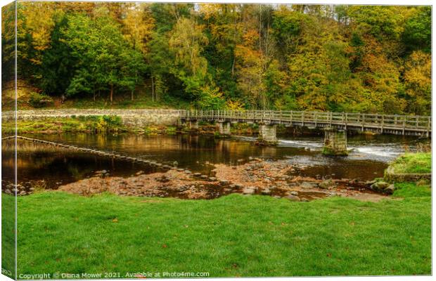 Stepping Stones and bridge at Bolton Abbey Canvas Print by Diana Mower