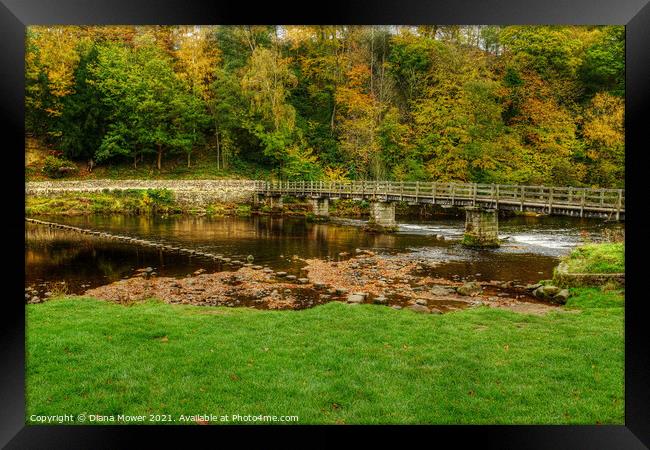 Stepping Stones and bridge at Bolton Abbey Framed Print by Diana Mower
