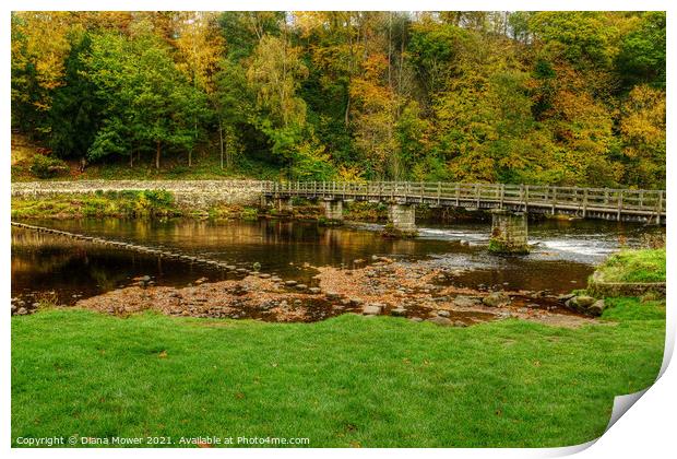 Stepping Stones and bridge at Bolton Abbey Print by Diana Mower