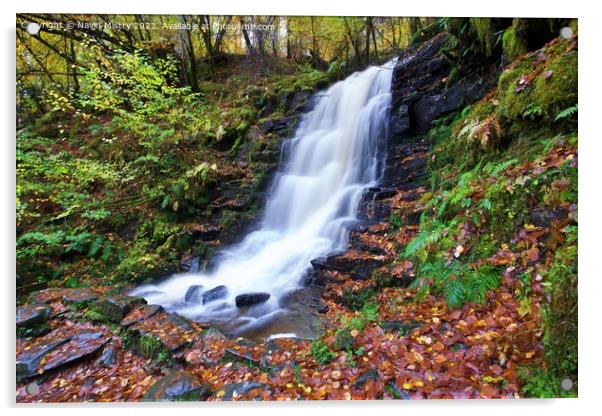 Waterfall in the Birks of Aberfeldy in Autumn Acrylic by Navin Mistry