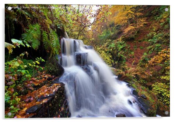 A Waterfall in the Birks of Aberfeldy Acrylic by Navin Mistry