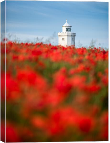 South Foreland Lighthouse Canvas Print by Stewart Mckeown