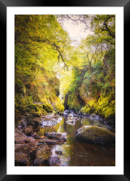 Fairy glen wales Framed Mounted Print by chris smith