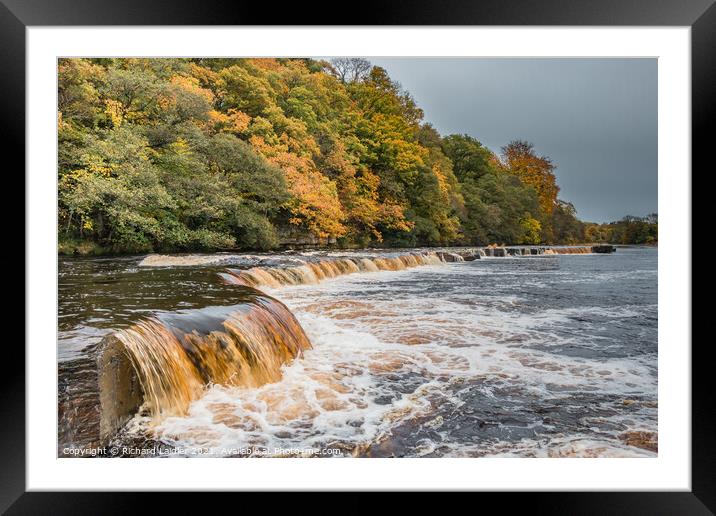 Autumn on the Tees at Whorlton, Teesdale Framed Mounted Print by Richard Laidler