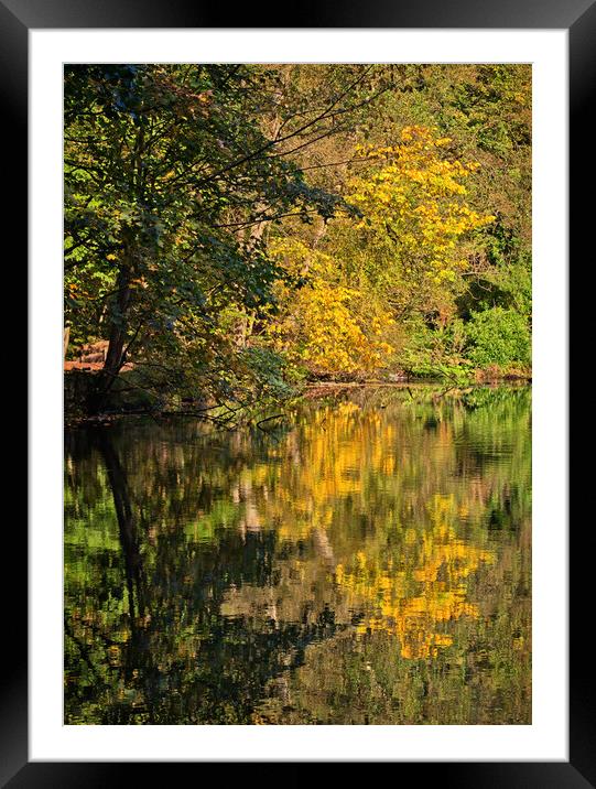 Reflections of Autumn Framed Mounted Print by David McCulloch