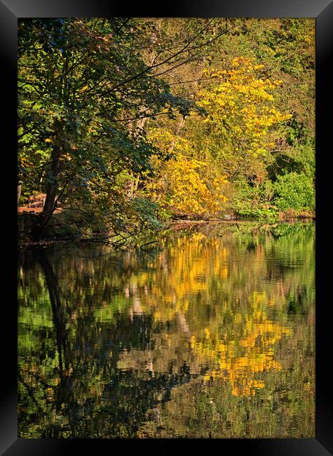 Reflections of Autumn Framed Print by David McCulloch
