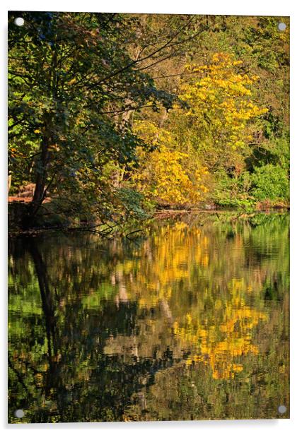 Reflections of Autumn Acrylic by David McCulloch