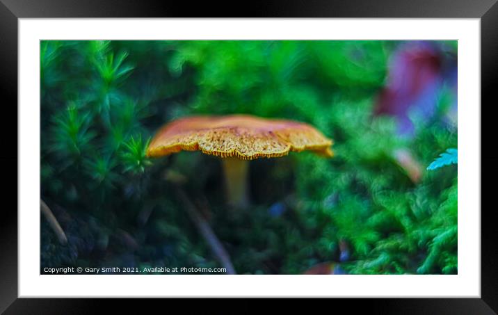 Orange Grisette Mushroom Framed Mounted Print by GJS Photography Artist