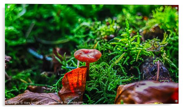 Scarlet Waxcap in Haircap Moss and Autumn Leaf  Acrylic by GJS Photography Artist