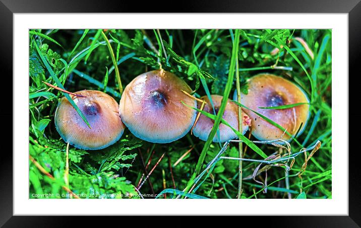 From Above Framed Mounted Print by GJS Photography Artist