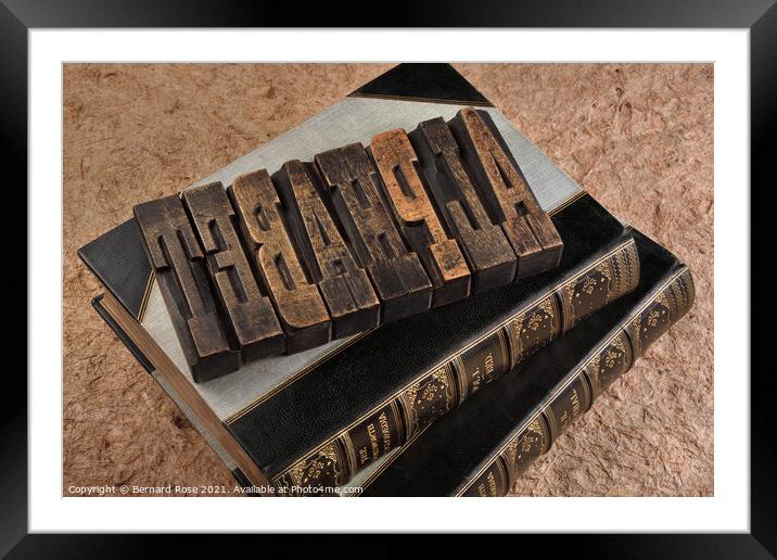 Vintage Alphabet Printers Blocks for Unique Librar Framed Mounted Print by Bernard Rose Photography