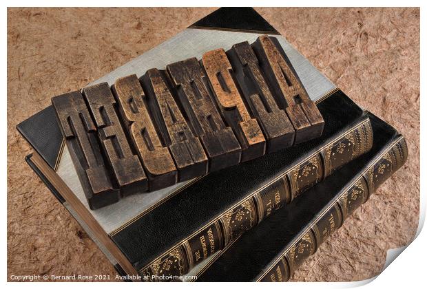 Vintage Alphabet Printers Blocks for Unique Librar Print by Bernard Rose Photography