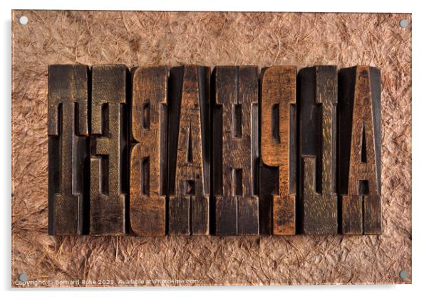 Alphabet Wooden Letterpress Blocks Acrylic by Bernard Rose Photography