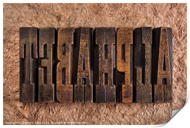 Alphabet Wooden Letterpress Blocks Print by Bernard Rose Photography