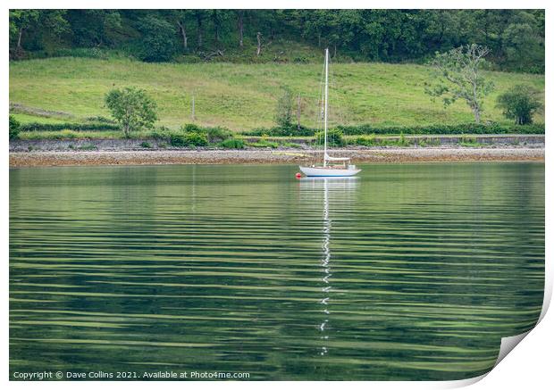 Boat & Reflection Print by Dave Collins