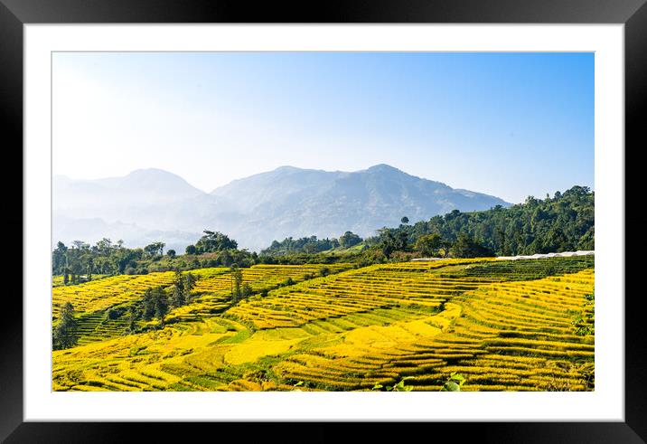 Outdoor field Framed Mounted Print by Ambir Tolang