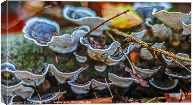 Hen of the Woods Canvas Print by GJS Photography Artist