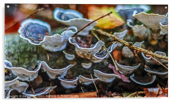 Hen of the Woods Acrylic by GJS Photography Artist