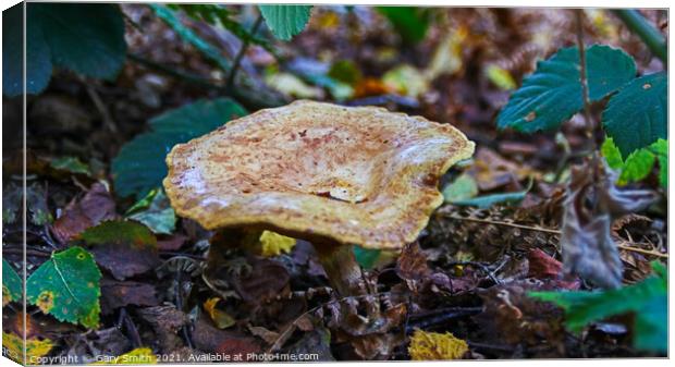 Broken Leather Canvas Print by GJS Photography Artist