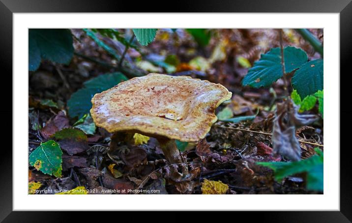 Broken Leather Framed Mounted Print by GJS Photography Artist