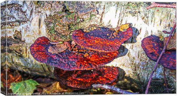 Tree Rust  Canvas Print by GJS Photography Artist