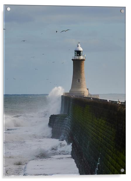 Tynemouth Pier and Lighthouse Acrylic by John Ellis