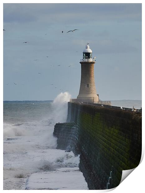 Tynemouth Pier and Lighthouse Print by John Ellis