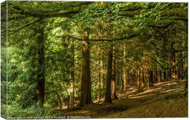 Pine Trees in Tyn y Coed Woodland near Cardiff Canvas Print by Nick Jenkins
