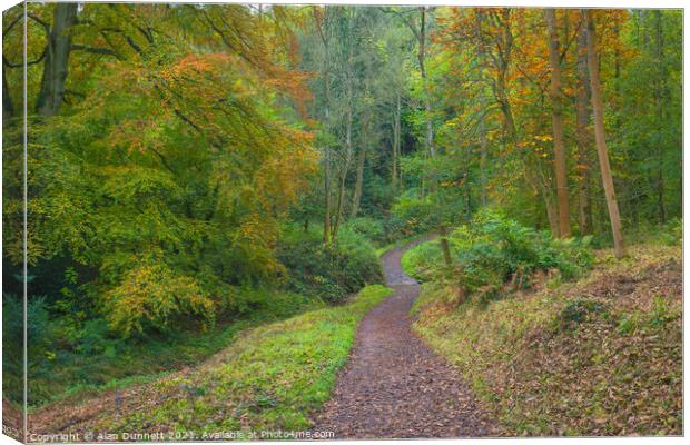 Path through Autumn Canvas Print by Alan Dunnett
