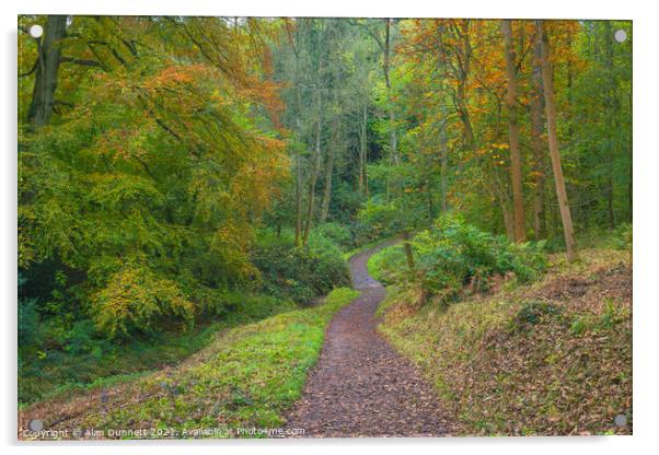 Path through Autumn Acrylic by Alan Dunnett