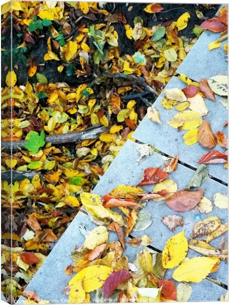 autumn crossing the bridge Canvas Print by Ferenc Kalmar