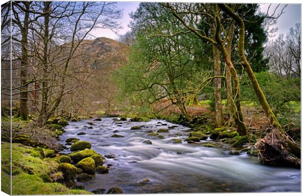 River Rothay  Canvas Print by Darren Galpin