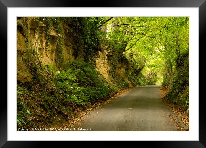 Park Covert Lane, Montacute Framed Mounted Print by Mark Poley