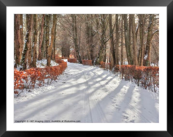 Olde Beech Drive Sunlight Glimpse Winter Highland Scotland  Framed Mounted Print by OBT imaging