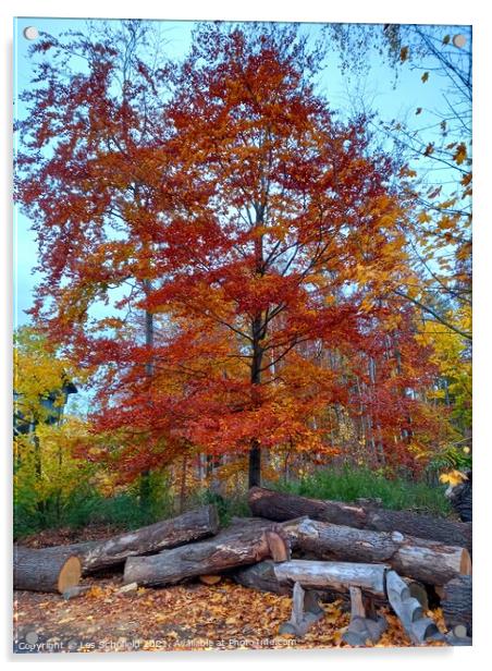 Autumn Tree Acrylic by Les Schofield