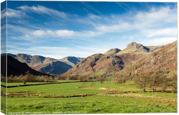 A View from Great Langdale Canvas Print by Heidi Stewart