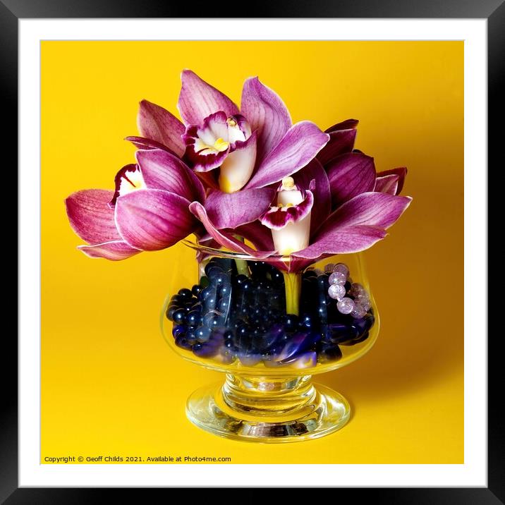  Pretty Purple pink Cymbidium Orchid in a Vase on  Framed Mounted Print by Geoff Childs