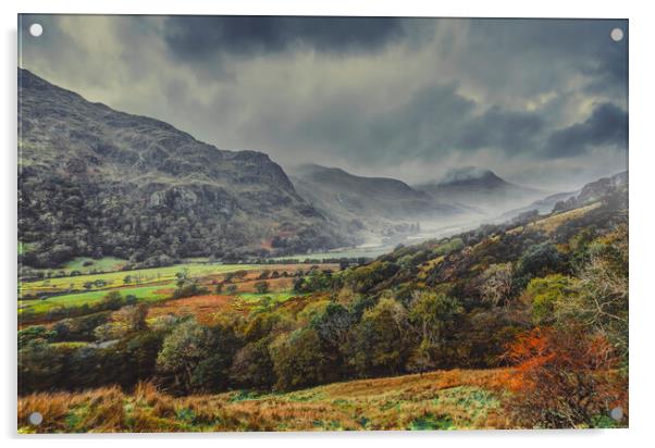 Nant Gwynant Valley Acrylic by Maggie McCall
