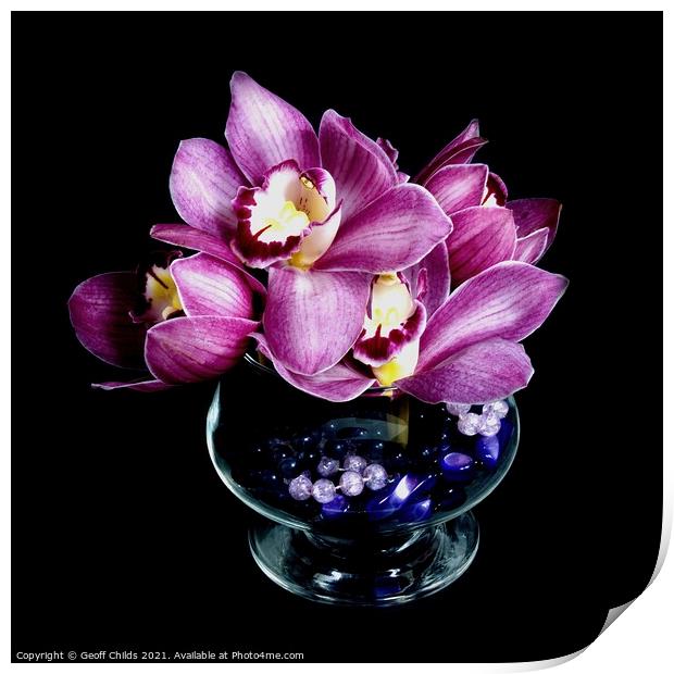  Pretty pink Cymbidium Orchid in a Vase on black. Print by Geoff Childs