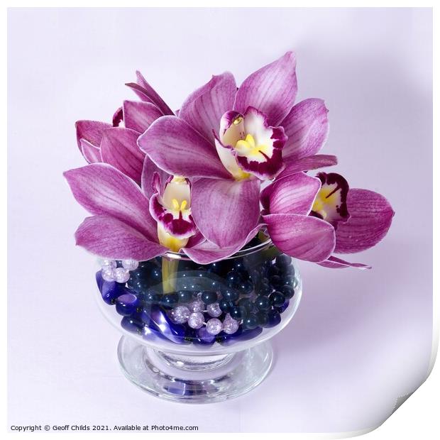  Pretty pink Cymbidium Orchid in a Vase on White Print by Geoff Childs