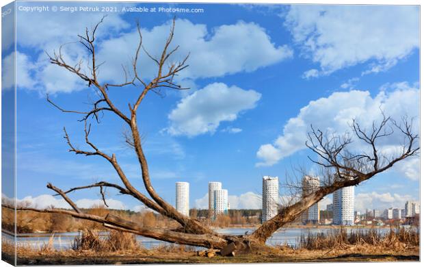 Spring landscapes, a dry, spreading tree on the river bank against the backdrop of new urban high-rise buildings and a blue cloudy sky. Canvas Print by Sergii Petruk