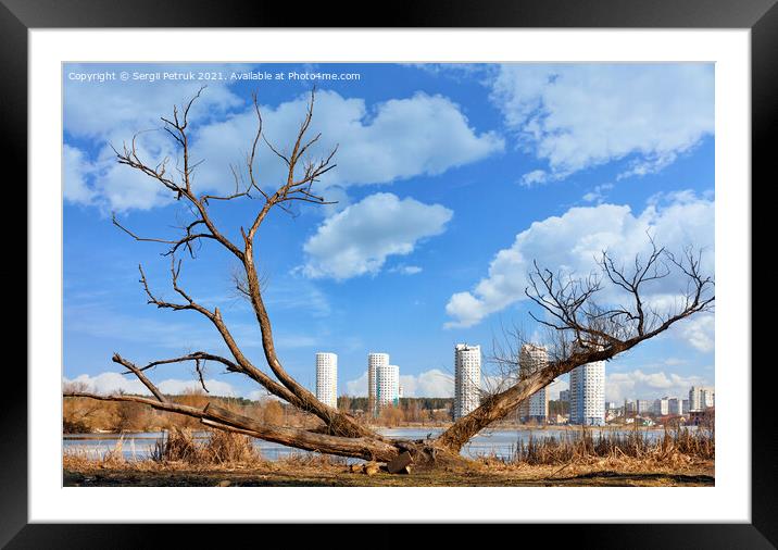 Spring landscapes, a dry, spreading tree on the river bank against the backdrop of new urban high-rise buildings and a blue cloudy sky. Framed Mounted Print by Sergii Petruk