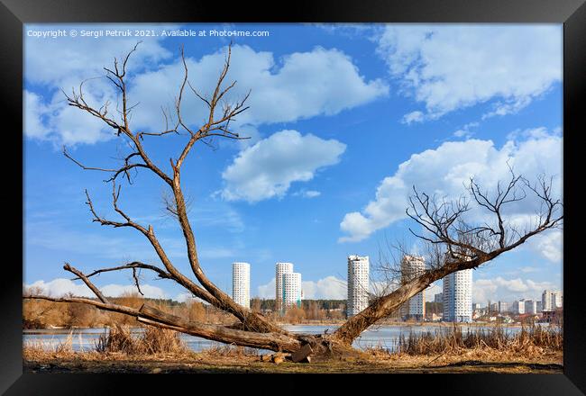 Spring landscapes, a dry, spreading tree on the river bank against the backdrop of new urban high-rise buildings and a blue cloudy sky. Framed Print by Sergii Petruk