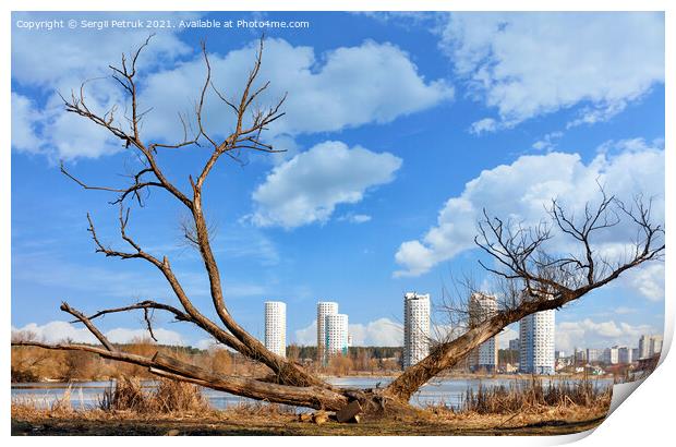 Spring landscapes, a dry, spreading tree on the river bank against the backdrop of new urban high-rise buildings and a blue cloudy sky. Print by Sergii Petruk