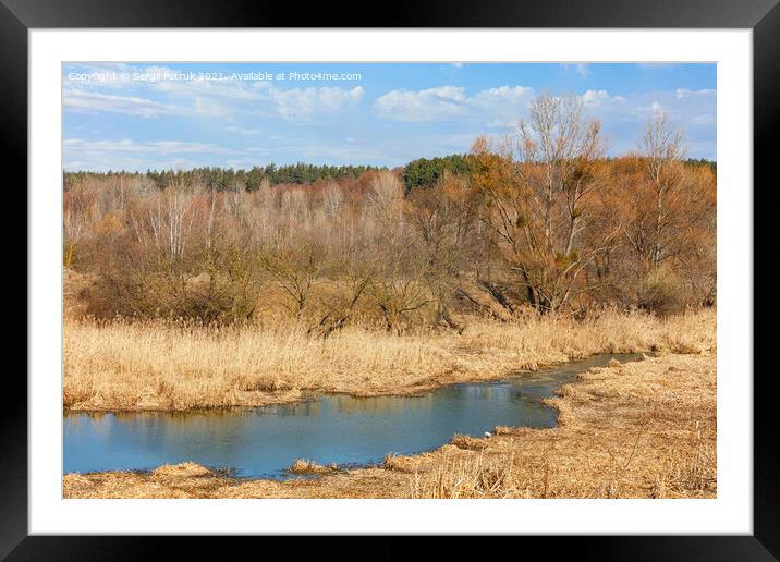 A small rivulet flows through a marshland overgrown with dry reeds and grass against the background of a dormant spring yellow grove and blue sky. Framed Mounted Print by Sergii Petruk